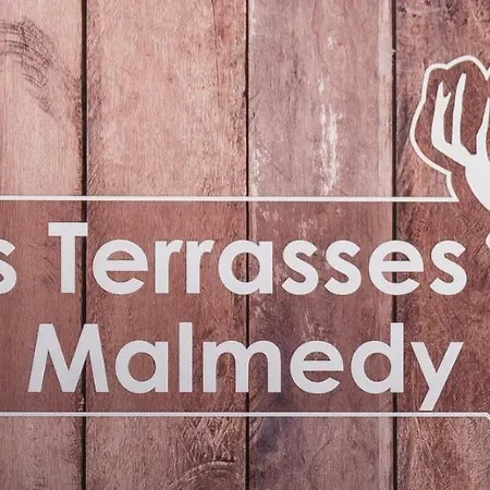 샬레 Terrasses De 113 *