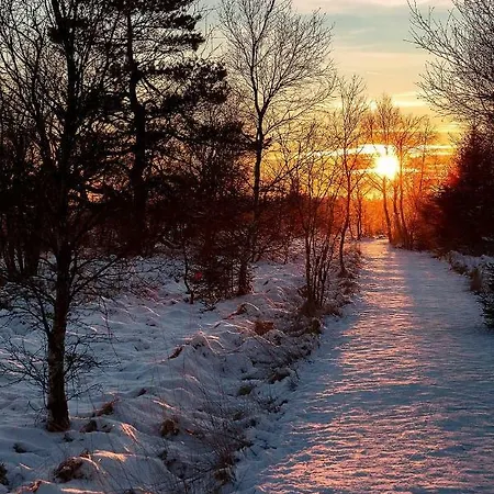 샬레 Terrasses De 113 말메디